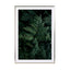 Lush Forest Greens - Drawdeck