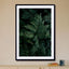 Lush Forest Greens - Drawdeck