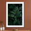 Lush Forest Greens - Drawdeck