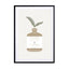 Oasis Beige Object 1 Wall Art - Drawdeck