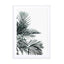 Minimal Palm Leaf Wall Art - Drawdeck