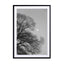 Full Moon Loves Winter Tree Black & White Edition Wall Art - Drawdeck