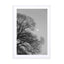 Full Moon Loves Winter Tree Black & White Edition Wall Art - Drawdeck