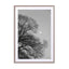 Full Moon Loves Winter Tree Black & White Edition Wall Art - Drawdeck