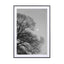 Full Moon Loves Winter Tree  Black & White Edition - Drawdeck