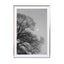 Full Moon Loves Winter Tree  Black & White Edition - Drawdeck