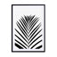 Lush Tropical Palms Black & White Edition Wall Art - Drawdeck