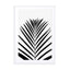 Lush Tropical Palms Black & White Edition Wall Art - Drawdeck