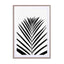 Lush Tropical Palms Black & White Edition Wall Art - Drawdeck