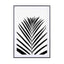 Lush Tropical Palms  Black & White Edition - Drawdeck