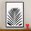 Lush Tropical Palms  Black & White Edition - Drawdeck
