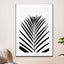 Lush Tropical Palms  Black & White Edition - Drawdeck
