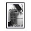 Orient Palms & Garden Dreams Black & White Edition Wall Art - Drawdeck