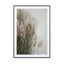 Pampas Grass Cloudy Heaven - Drawdeck