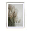 Pampas Grass Cloudy Heaven - Drawdeck