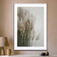 Pampas Grass Cloudy Heaven - Drawdeck
