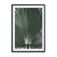 Blue Green Grafic Palm Leaf Wall Art - Drawdeck