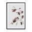 vintage dried eucalyptus branches Wall Art - Drawdeck