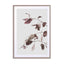 vintage dried eucalyptus branches Wall Art - Drawdeck