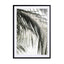 green palm shades and shadows Wall Art - Drawdeck