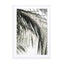green palm shades and shadows Wall Art - Drawdeck