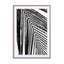 black and white palm leaf Wall Art - Drawdeck