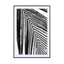 black and white palm leaf - Drawdeck