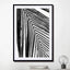 black and white palm leaf - Drawdeck