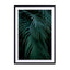 green blue tropical palm leafs Wall Art - Drawdeck