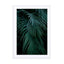 green blue tropical palm leafs Wall Art - Drawdeck