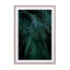 green blue tropical palm leafs Wall Art - Drawdeck