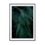green blue tropical palm leafs - Drawdeck