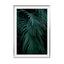 green blue tropical palm leafs - Drawdeck