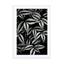 botanical cebra leafs Wall Art - Drawdeck