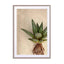 Succulent Study 2 Wall Art - Drawdeck