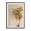 Succulent Study 4 Wall Art - Drawdeck