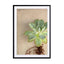 Succulent Study 5 Wall Art - Drawdeck