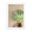Succulent Study 5 Wall Art - Drawdeck