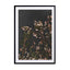 Night Garden 3 Wall Art - Drawdeck