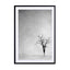 Lone Tree 1 Wall Art - Drawdeck
