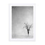 Lone Tree 1 Wall Art - Drawdeck
