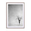Lone Tree 1 Wall Art - Drawdeck