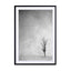 Lone Tree 2 Wall Art - Drawdeck