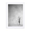 Lone Tree 2 Wall Art - Drawdeck