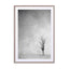 Lone Tree 2 Wall Art - Drawdeck