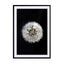 Black and White Dendelion Wall Art - Drawdeck