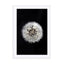 Black and White Dendelion Wall Art - Drawdeck