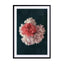 Decorative Blossoms In A Bouquet Of Flowers Wall Art - Drawdeck
