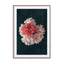 Decorative Blossoms In A Bouquet Of Flowers Wall Art - Drawdeck