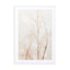 Abstract - Flowers Ii Wall Art - Drawdeck